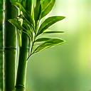 Vibrant bamboo stalks against a soft, blurred green background, signifying air purification and natural wellness.