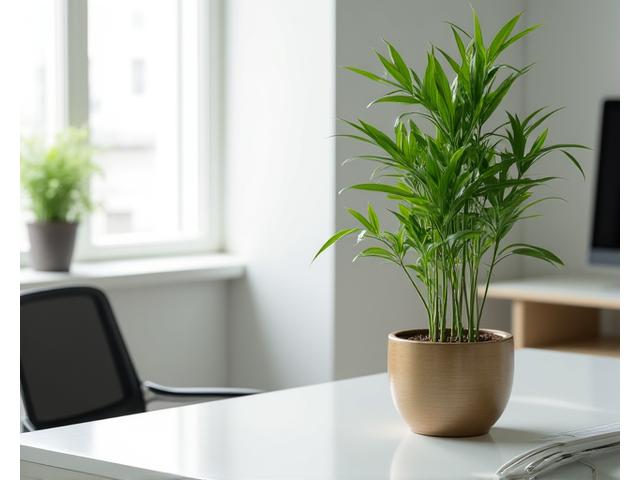 Productive home office space with a subtle bamboo plant in the corner, enhancing focus and calm.